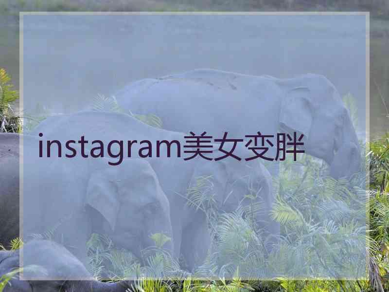 instagram美女变胖