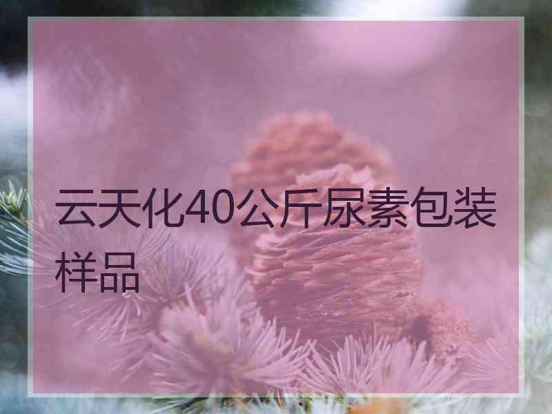 云天化40公斤尿素包装样品