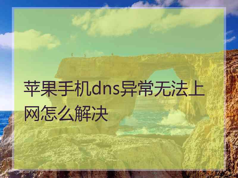 苹果手机dns异常无法上网怎么解决
