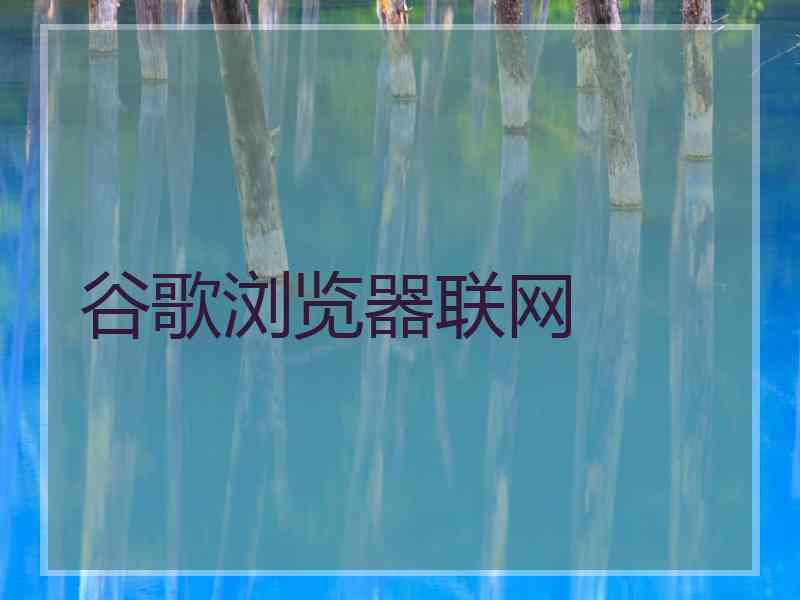 谷歌浏览器联网