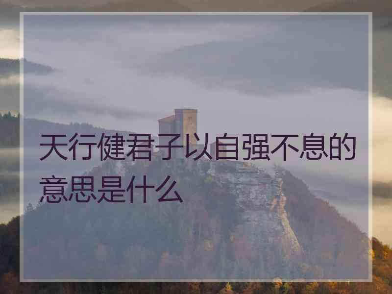 天行健君子以自强不息的意思是什么