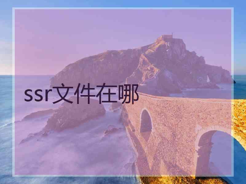 ssr文件在哪
