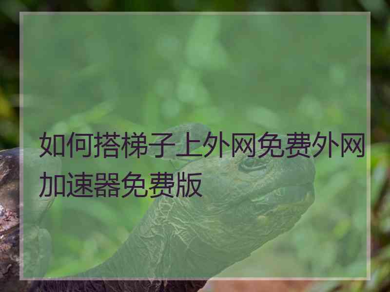 如何搭梯子上外网免费外网加速器免费版