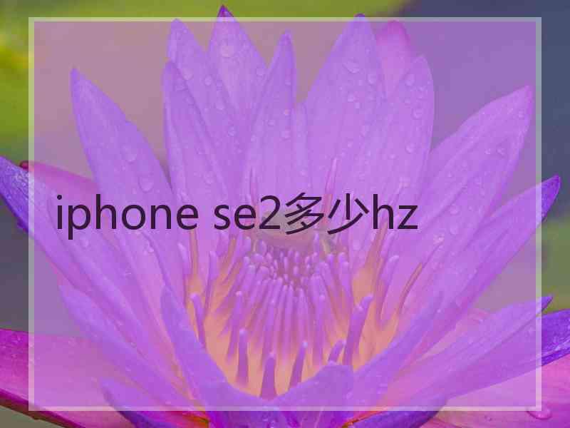 iphone se2多少hz
