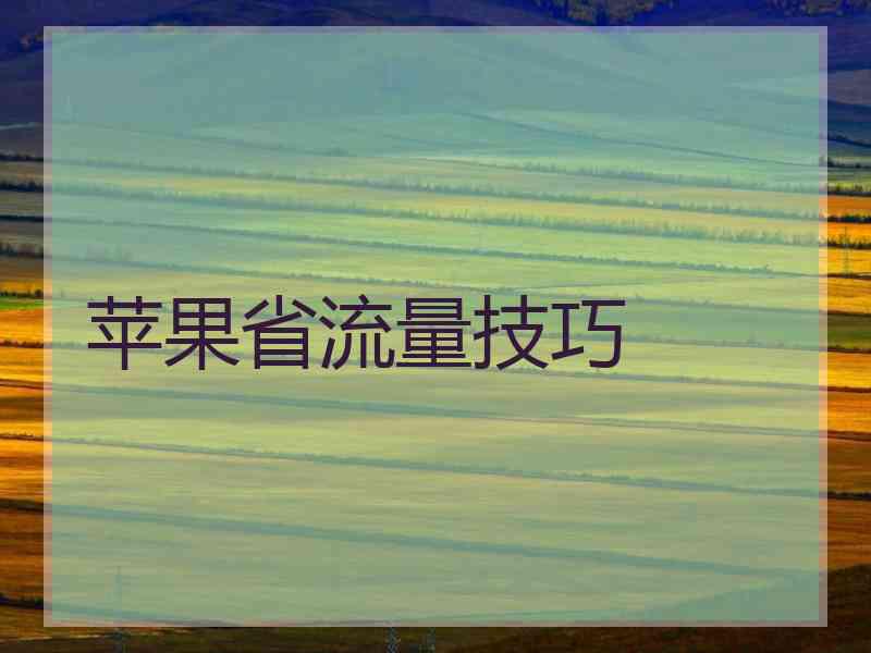 苹果省流量技巧