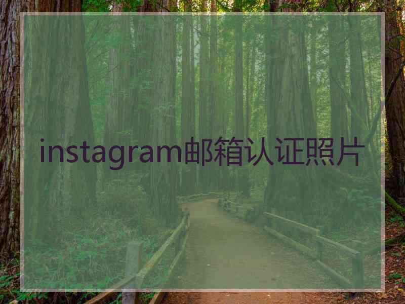 instagram邮箱认证照片