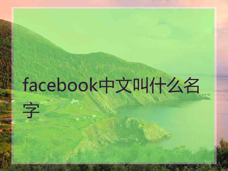 facebook中文叫什么名字