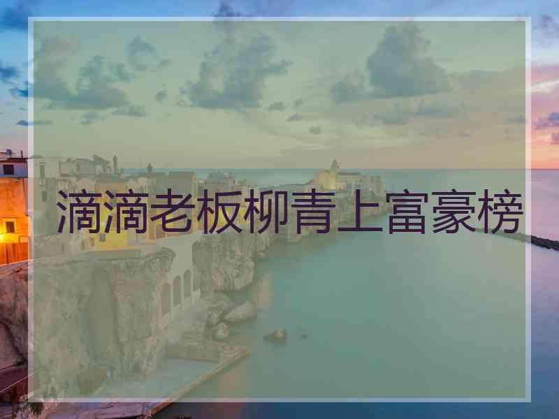 滴滴老板柳青上富豪榜