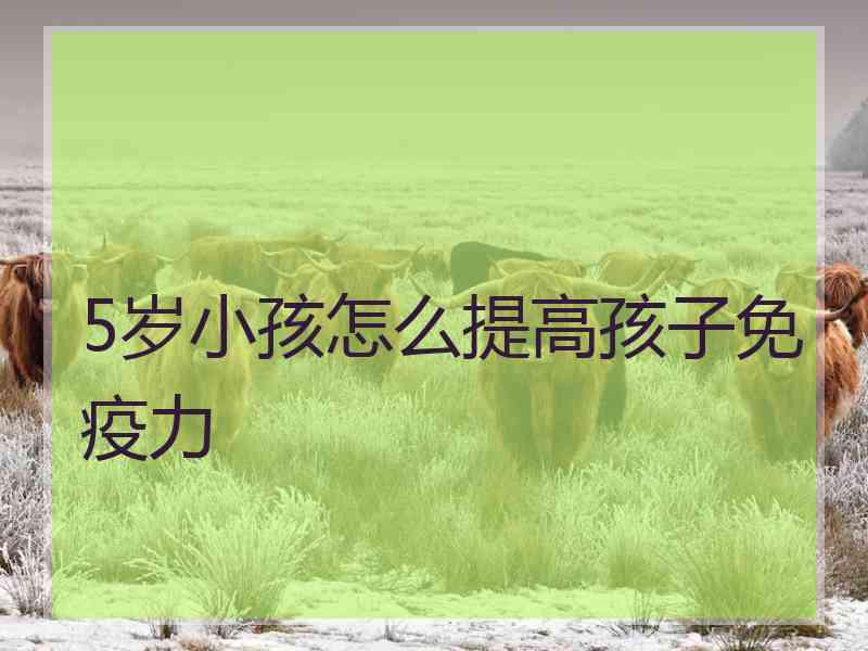 5岁小孩怎么提高孩子免疫力