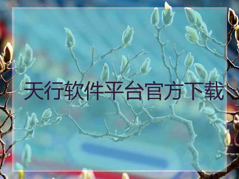 天行软件平台官方下载