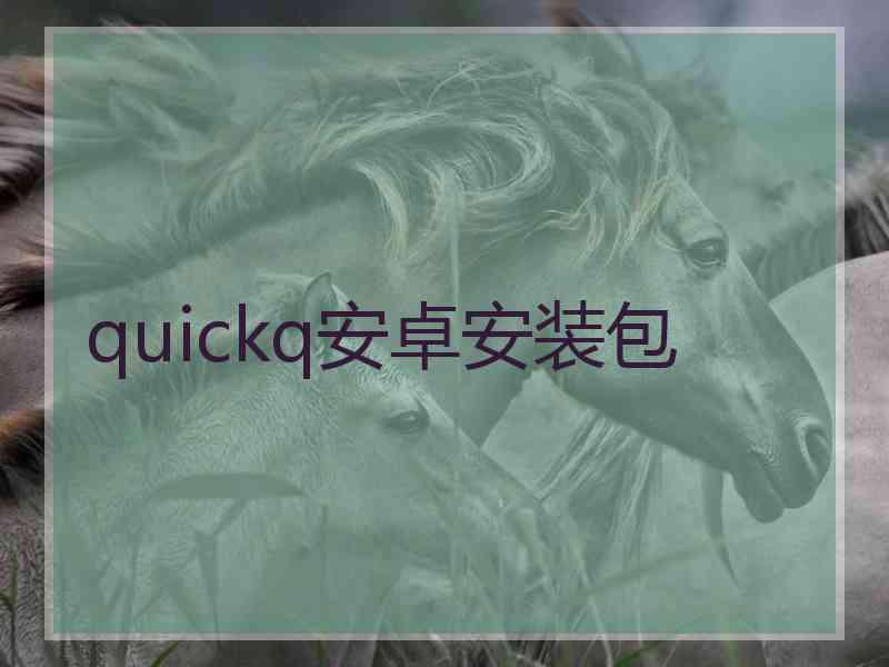 quickq安卓安装包