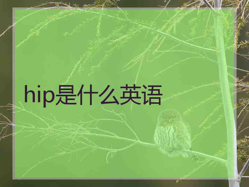 hip是什么英语