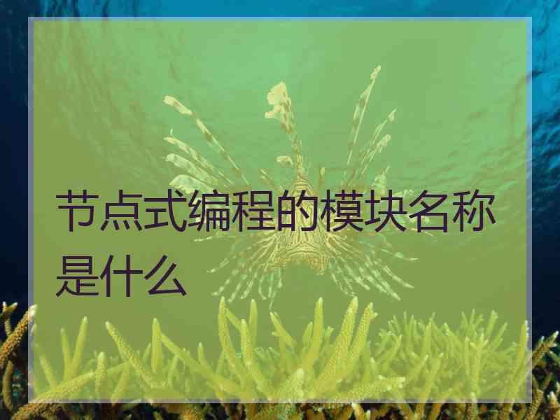 节点式编程的模块名称是什么