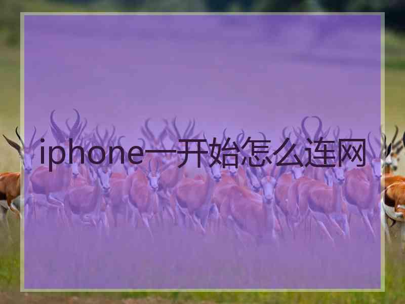 iphone一开始怎么连网