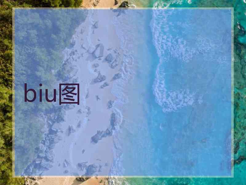 biu图