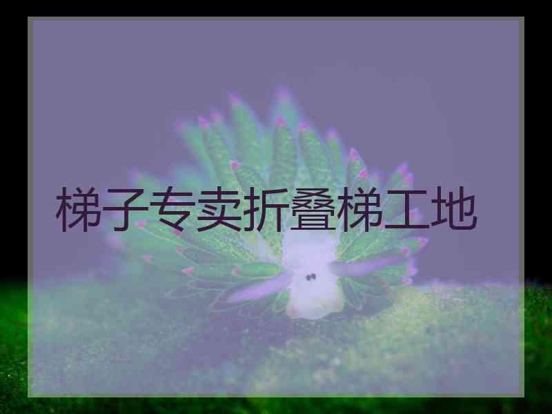 梯子专卖折叠梯工地