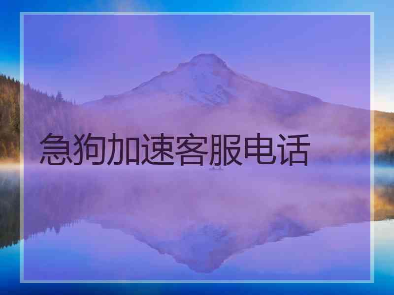急狗加速客服电话
