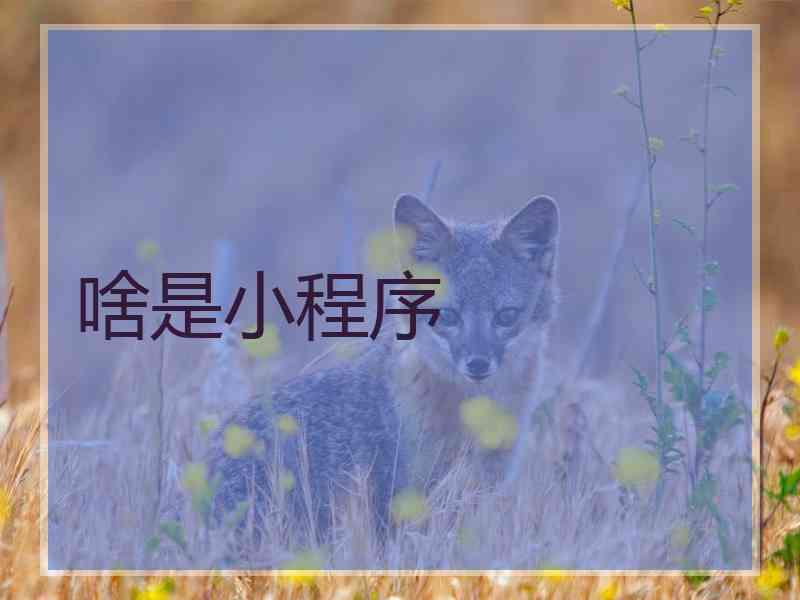 啥是小程序