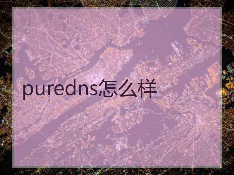 puredns怎么样