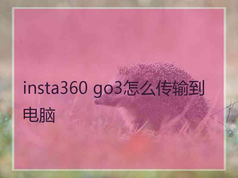 insta360 go3怎么传输到电脑