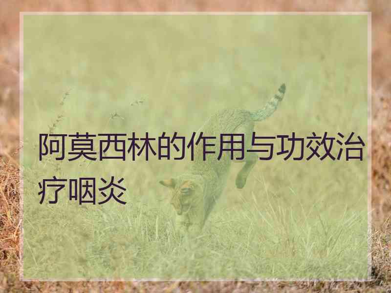 阿莫西林的作用与功效治疗咽炎