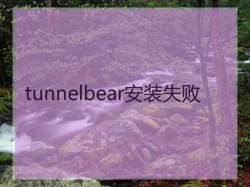 tunnelbear安装失败