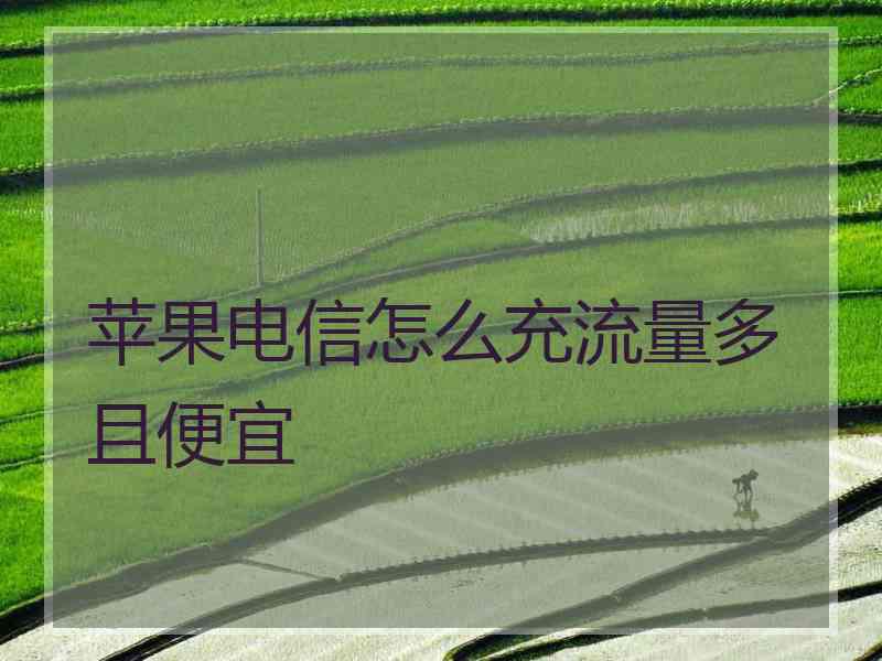 苹果电信怎么充流量多且便宜