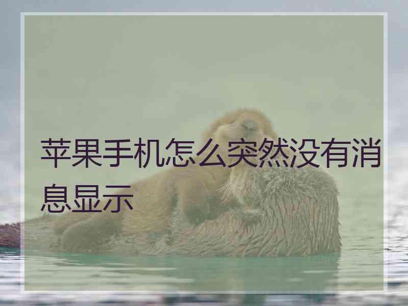 苹果手机怎么突然没有消息显示