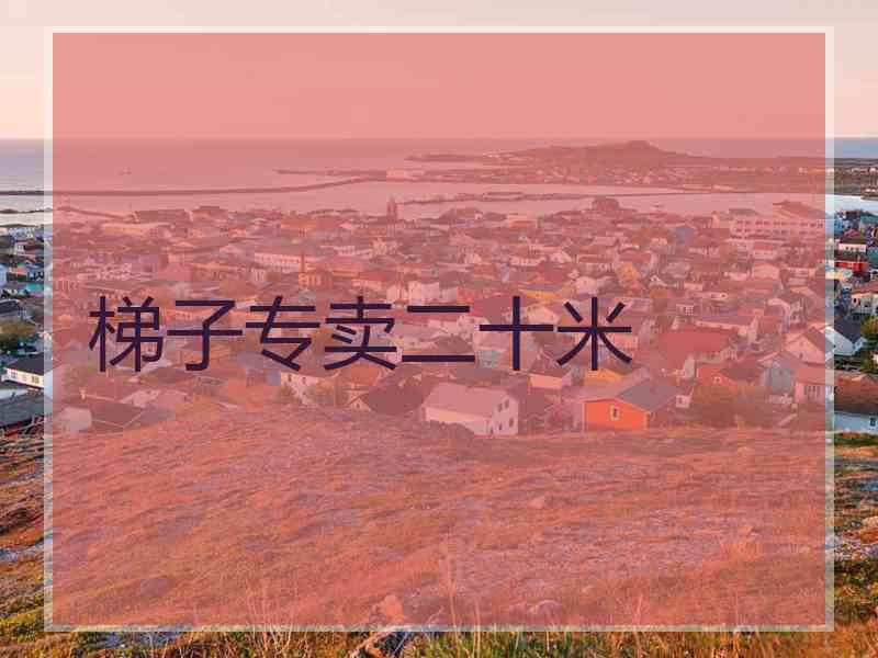 梯子专卖二十米