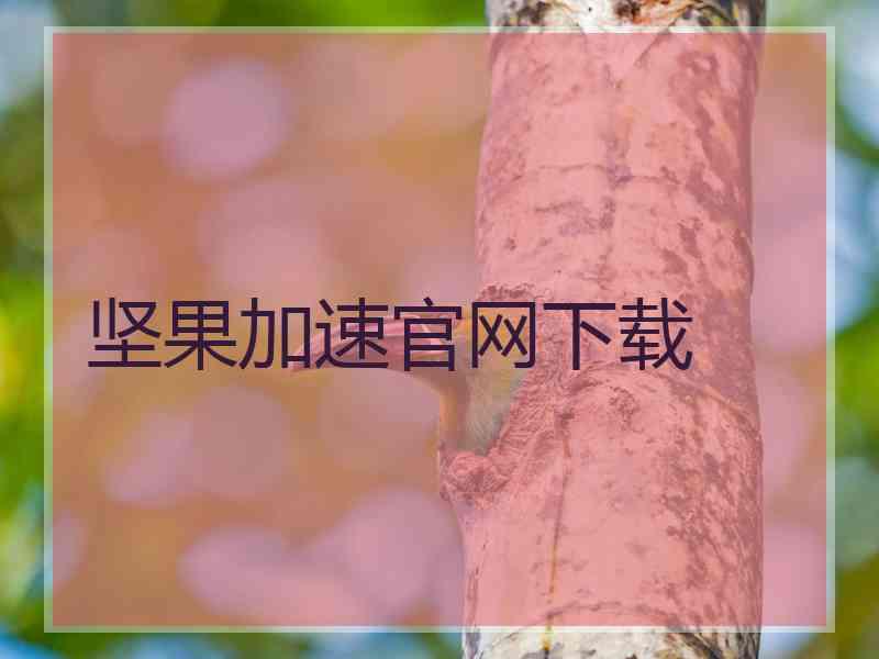 坚果加速官网下载