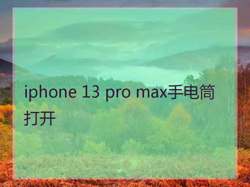iphone 13 pro max手电筒打开