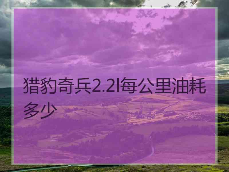 猎豹奇兵2.2l每公里油耗多少