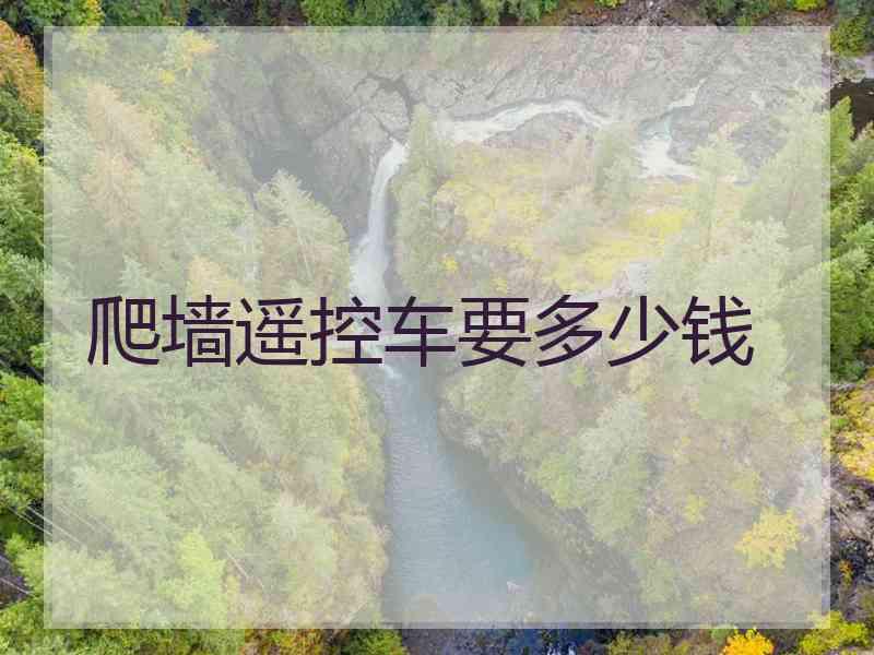 爬墙遥控车要多少钱