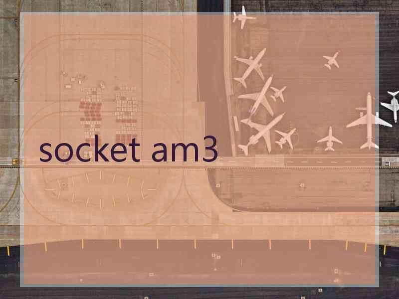 socket am3