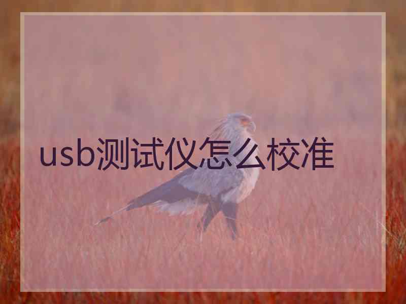 usb测试仪怎么校准
