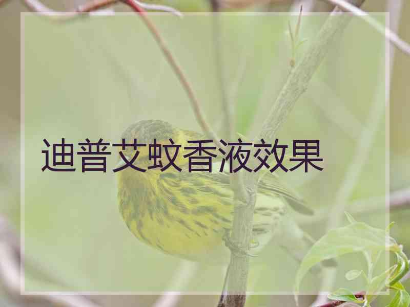 迪普艾蚊香液效果