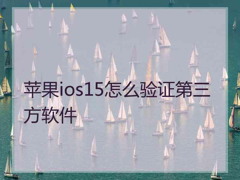 苹果ios15怎么验证第三方软件