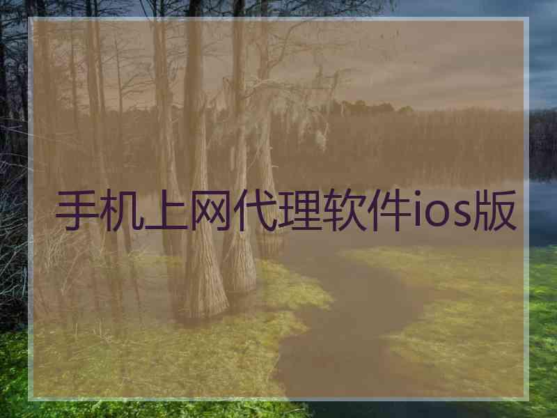 手机上网代理软件ios版