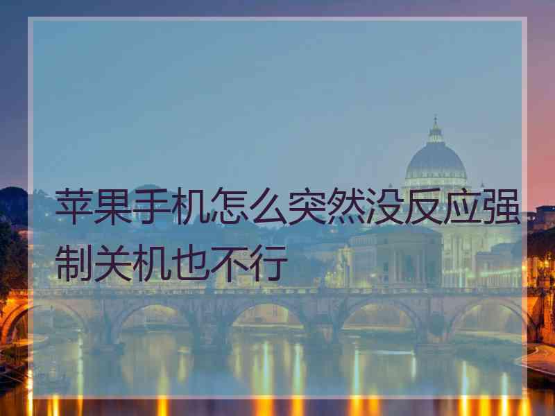 苹果手机怎么突然没反应强制关机也不行