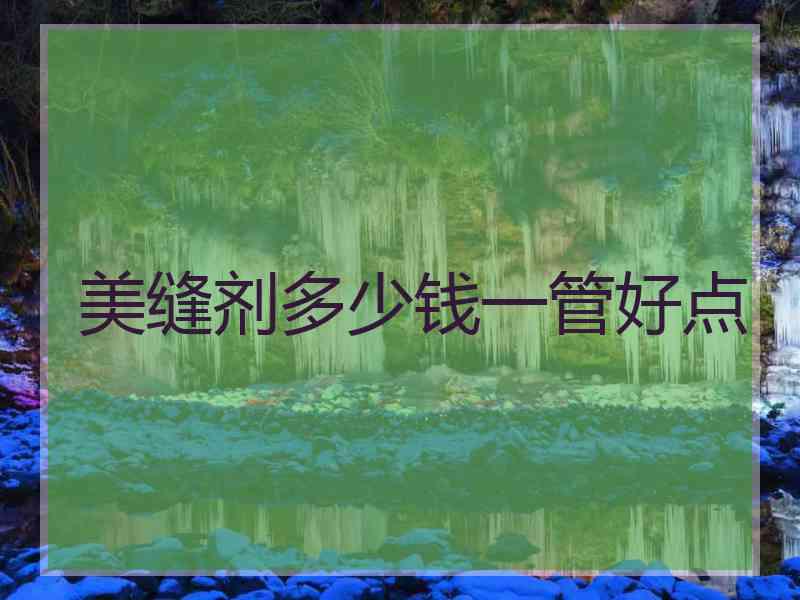 美缝剂多少钱一管好点