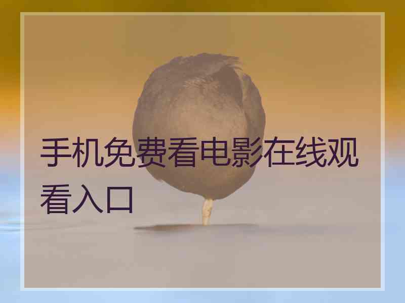 手机免费看电影在线观看入口