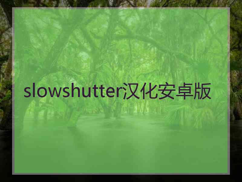 slowshutter汉化安卓版