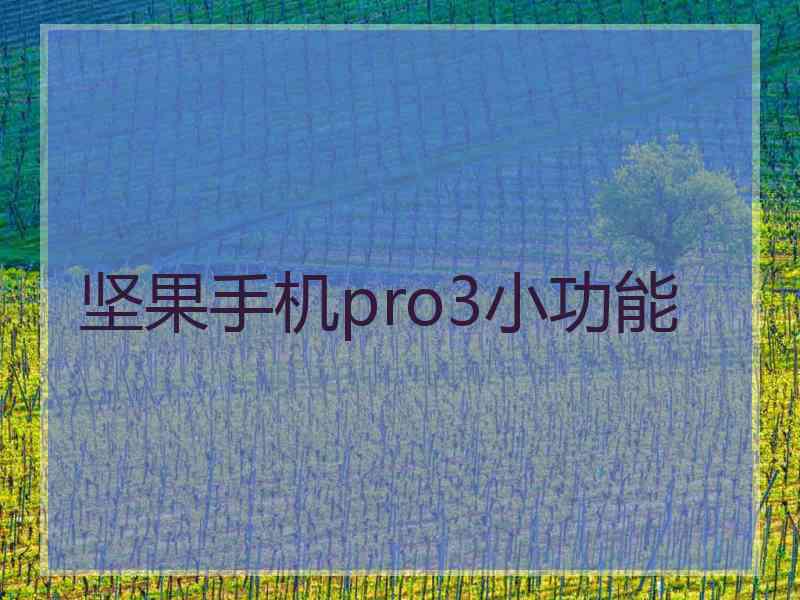坚果手机pro3小功能