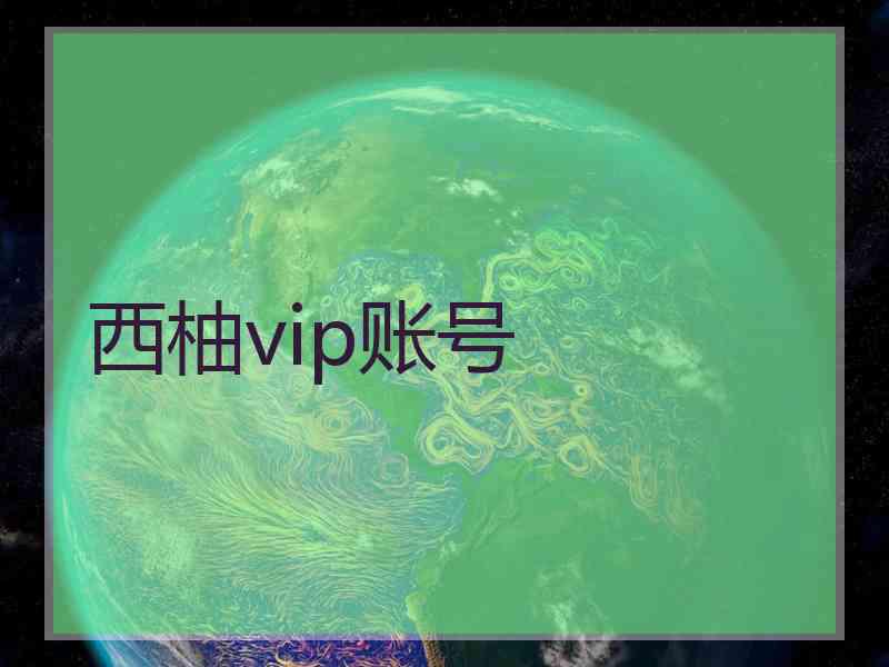西柚vip账号