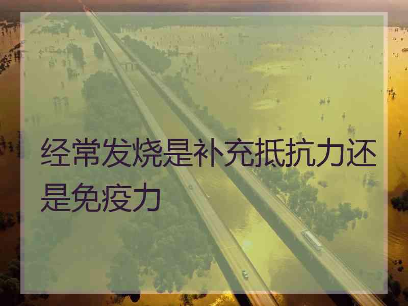 经常发烧是补充抵抗力还是免疫力