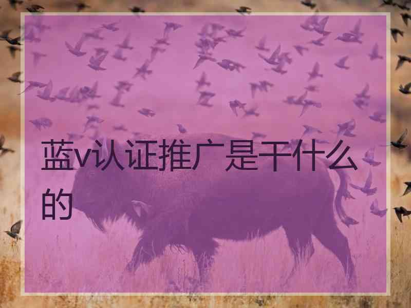 蓝v认证推广是干什么的