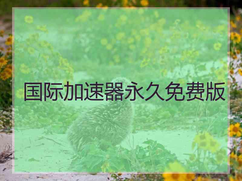 国际加速器永久免费版