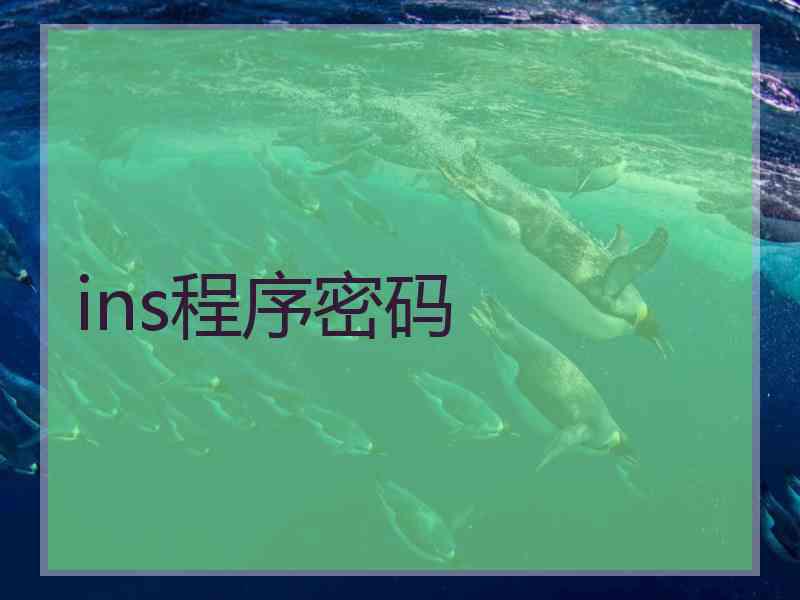 ins程序密码