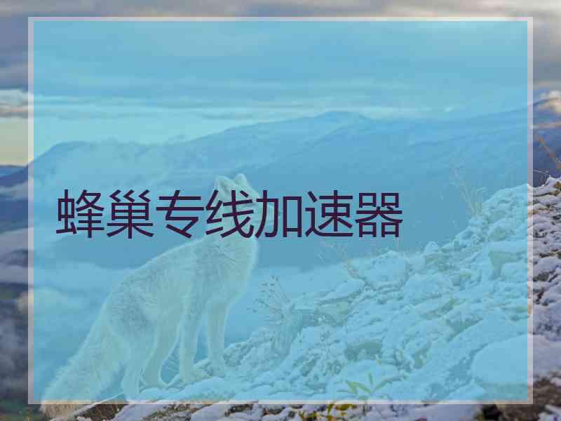 蜂巢专线加速器