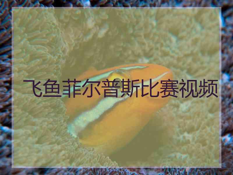 飞鱼菲尔普斯比赛视频
